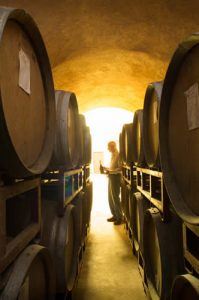 sonoma county winery tours and tastings