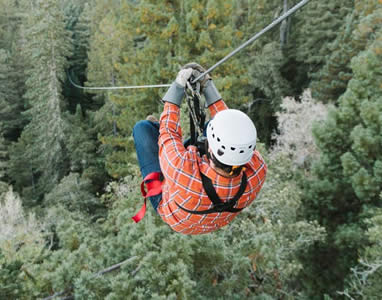 zipline sonoma wine country redwoods