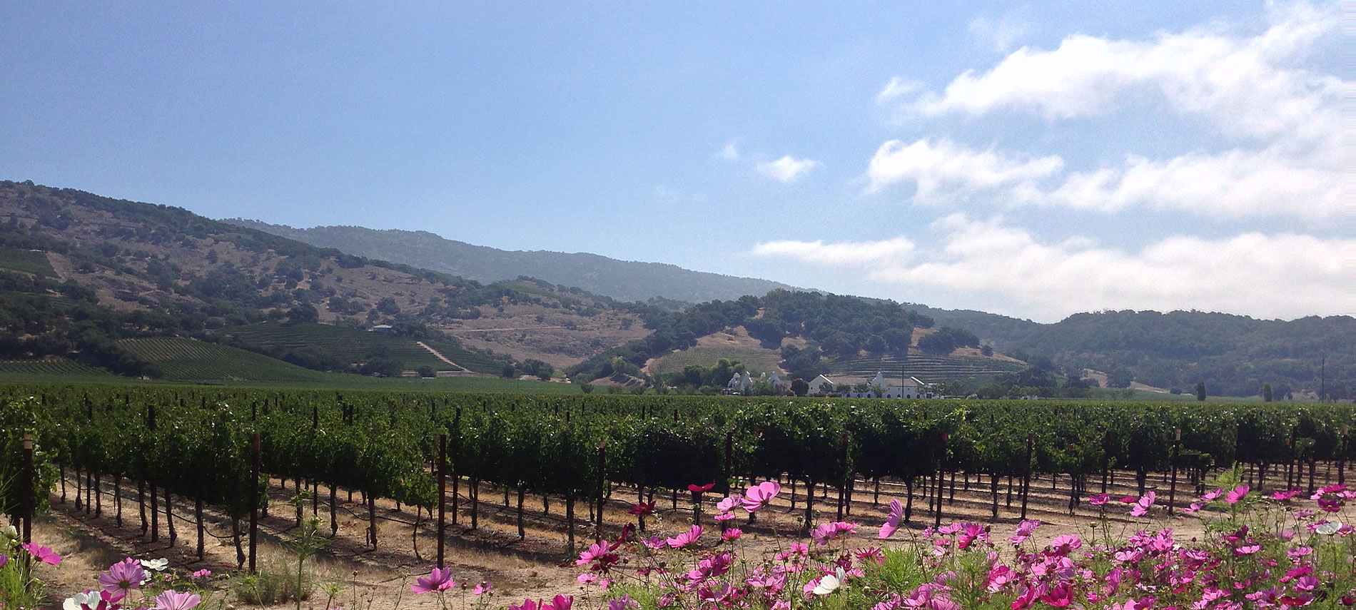california wine country