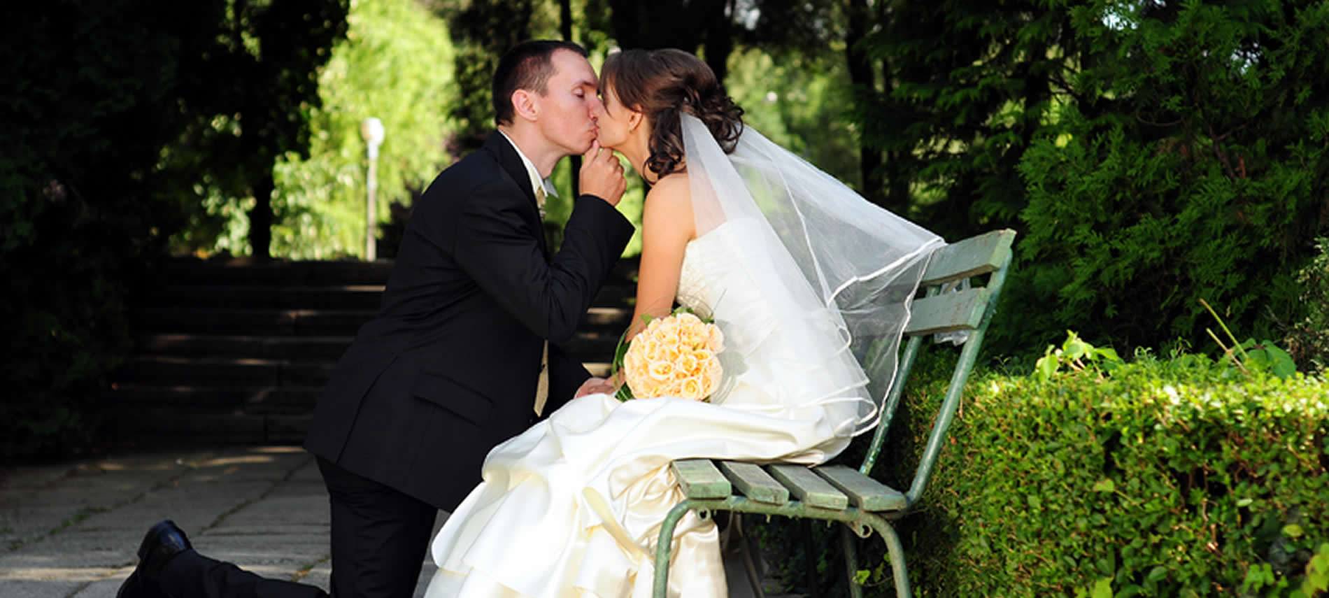 sonoma wine country weddings & elopements